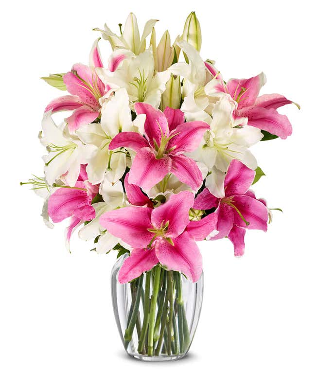 Bouquet of elegant pink and white lilies with optional stylish glass vase and personalized gift message for a housewarming.
