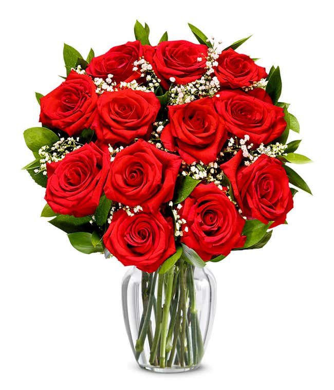 One Dozen Red Roses