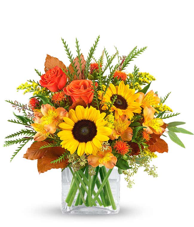A bright floral arrangement featuring deluxe and premium orange roses, sunflowers, orange safflower, orange Peruvian lilies, and yellow solidago, all beautifully arranged in a cube vase.