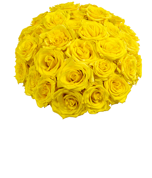 Partial image of Next day delivery of yellow roses without vase.
