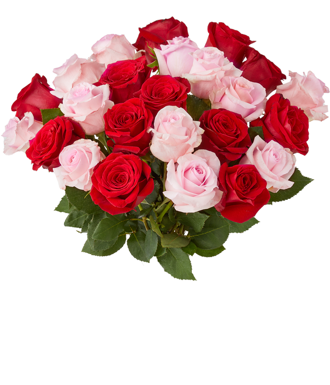 Partial image of Two dozen rose mix with pink and red roses without vase.
