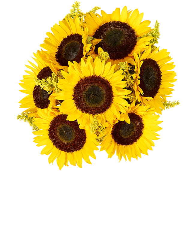 Partial image of A vibrant arrangement featuring yellow sunflowers and golden solidago, optionally presented in a vase. This bright and cheerful display brings a touch of sunshine and warmth to any occasion.  without vase.