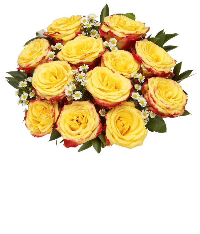 Partial image of One Dozen Bi-Colored Roses without vase.