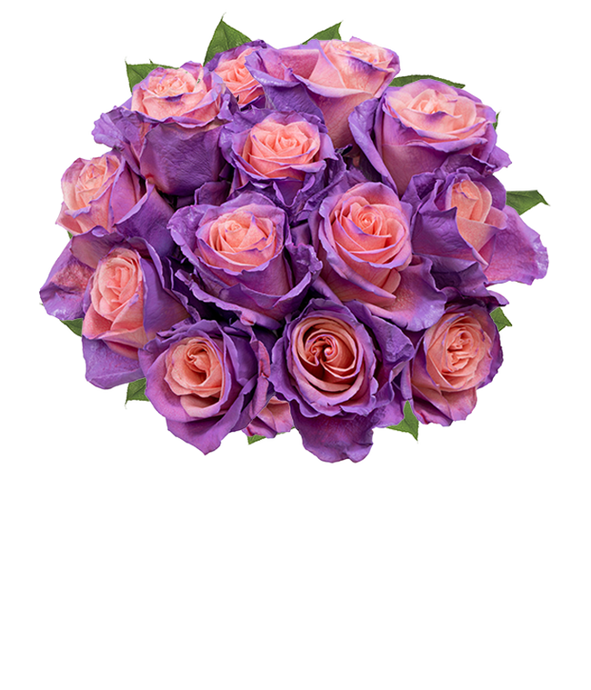 Partial image of One Dozen Blushing Lavender Roses without vase.
