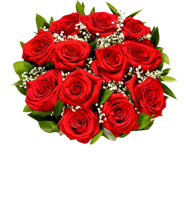 Partial image of Romantic Starry Night Roses without vase.